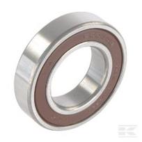 Guolis su ritinėliais 6006 2RS ET5454
