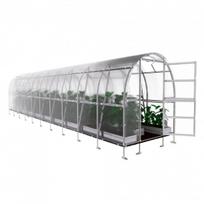 Šiltnamis KLASIKA Slim - 6 mm storio kanalinis polikarbonatas - 2 x 10 m (20 m²)