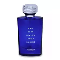 Vyriški kvepalai PENDORA SCENTS Eau Blue Pour Homme EDP spray 100ml