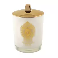 TIZIANA TERENZI Delox CANDLE 170g