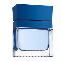 Vyriški kvepalai GUESS Seductive Blue Homme EDT spray 100ml