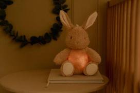 Little Dutch zuikis su garsu ir šviesa Newborn Naturals