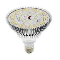 300 W LED augalų šviesos lemputė E27 Augimo pilno spektro šiltnamio augalų apšvietimas Gėlių lempa Hidroponi