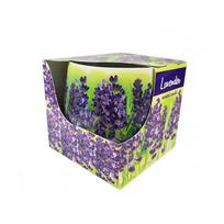 Kvepianti žvakė stikliniame indelyje Lavender