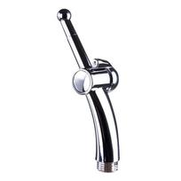 LateToBed BDSM Line Anal Shower