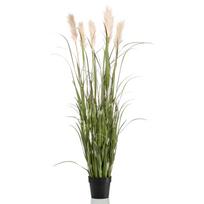 Emerald Dirbtinė pampų žolė vazone 160cm
