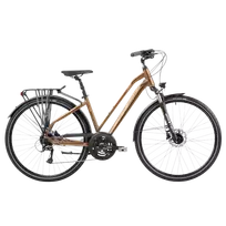 Women's bicycle ROMET Gazela 6, brown-black (L)