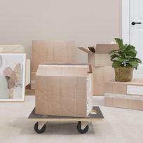 Transportavimo vežimėliai 2vnt 50x35x115cm stačiakampiai