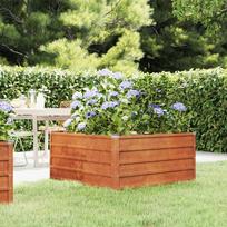 Aukštas sodo lovelis rūdžių 100x100x45cm Corten plienas