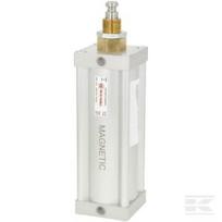 Pneumatinis cilindras. 6" std.+magnetas 6008200Z