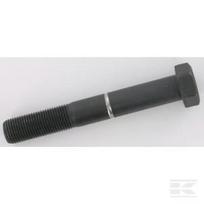 Apsauginis varžtas M16x1,5x110 8.8 70050300