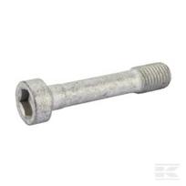 Išsiplėtimo varžtas M16x80 10.9 PRS102
