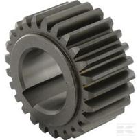 B.P. Z 25 pavara, rakto griovelis 12 W3312