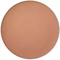 "Shiseido" įdegio pagrindas SPF 10, 12 g, 0.0g