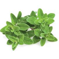 Click & Grow Smart Garden refill Marjoram 3pcs SGR41X3