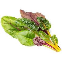 Click & Grow Smart Refill Rainbow Chard 3pcs SGR89X3