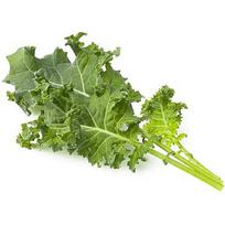 Click & Grow Smart Refill Green Kale 3pcs SGR90X3