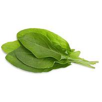 Click & Grow Smart Garden refill Green Sorrel 3pcs SGR55X3