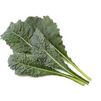 Click & Grow Smart Refill Italian Kale 3pcs SGR86X3