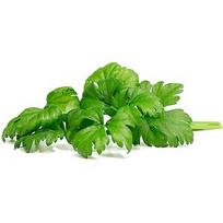 Click & Grow Smart Garden Refill Leaf Celery 3pcs SGR97X3
