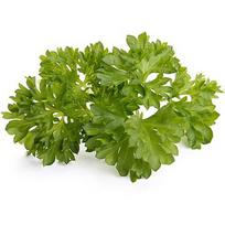 Click & Grow Smart Garden refill Parsley 3pcs SGR13X3