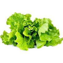 Click & Grow Smart Garden refill Lettuce 3pcs SGR32X3