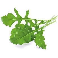 Click & Grow Smart Garden refill Arugula 3pcs SGR19X3
