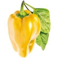 Click & Grow Smart Garden refill Yellow Sweet Pepper 3pcs SGR53X3