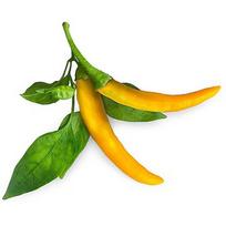 Click & Grow Smart Garden refill Yellow Chili 3pcs SGR60X3