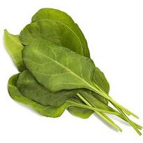 Click & Grow Smart Garden refill Green Chard 3pcs SGR64X3