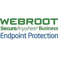 Webroot Business Endpoint Protection with GSM Console, Antivirus Business Edition, 1 year(s), License quantity 10-99 user(s) 112260011B