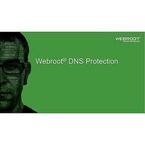Webroot DNS Protection with GSM Console, 1 year(s), License quantity 10-99 user(s) 152300001B