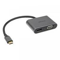 Akasa USB Type-C 2-In-1 Adapter AK-CBCA23-18BK