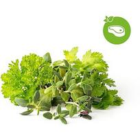 Click & Grow Plant Pod Steak Mix 9pcs PPMSSX9