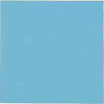 Thermal Grizzly Minus Pad Pro - 100 x 100 x 1,0 mm TG-MP-P-100-100-10