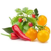 Click & Grow Plant Pod Fruit & Veggie Mix 9pcs PPMFVX9
