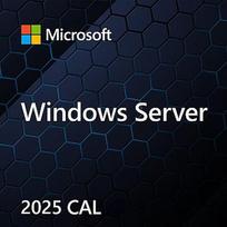 Microsoft MS Windows Svr CAL 2025 PL Clt Device CAL OEM EP2-25250