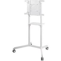 Newstar Mobile Monitor/TV Floor Stand, 37-70" NS-M1250WHITE