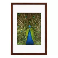 Rėmelis GB 900715 Pino mahagoni 20x30/15x20| medinis