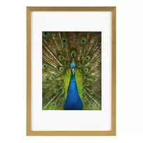 Rėmelis GB 900815 Pino gold 20x30/15x20| medinis