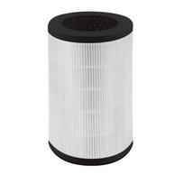 Homemedics pakeičiamas filtras 2406634