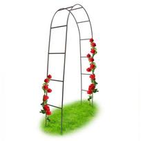 PLIENINĖ AUGALO ATRAMA – ARKA 240 CM, JUODA