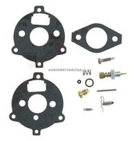Karbiuratoriaus remontinis komplektas BRIGGS & STRATTON 394693, 291763, 295938, 398235