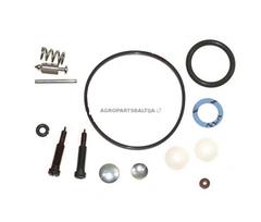 Karbiuratoriaus remontinis komplektas BRIGGS & STRATTON 492077, 494349