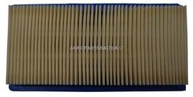 Oro filtras Briggs & Stratton 9AG Vanguard, OHV 491384