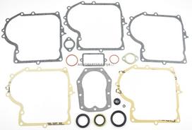 Tarpinių komplektas Briggs & Stratton 25,28 vertikaliems varikliams, 10AG, 10.5AG, 11.5AG, 12.5AG, 13AG, 490525, 494241