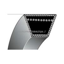 Trapecinis eigos diržas Sandri Garden GI51SP Z29,5 10x750mm Li, 10,00x788mm La