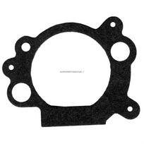 Oro filtro tarpinė Briggs & Stratton: 110000, 111000, 692667