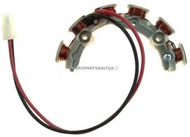 Įkrovimo ritė Briggs & Stratton 796915