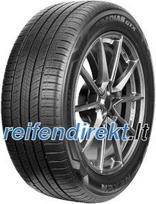 Nexen Roadian GTX ( 225/60 R18 100H 4PR )